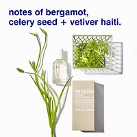 Vetiver Eau De Parfum