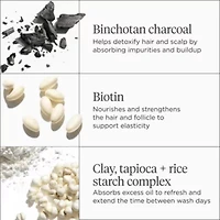 Scalp Revival Charcoal Plus Biotin Dry Shampoo