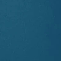 Purifying Mask with Thermal Mud