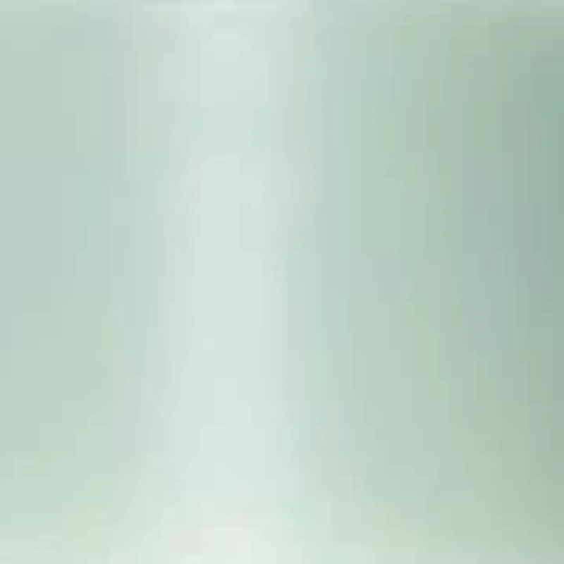 Hydrating Leave-In Mist