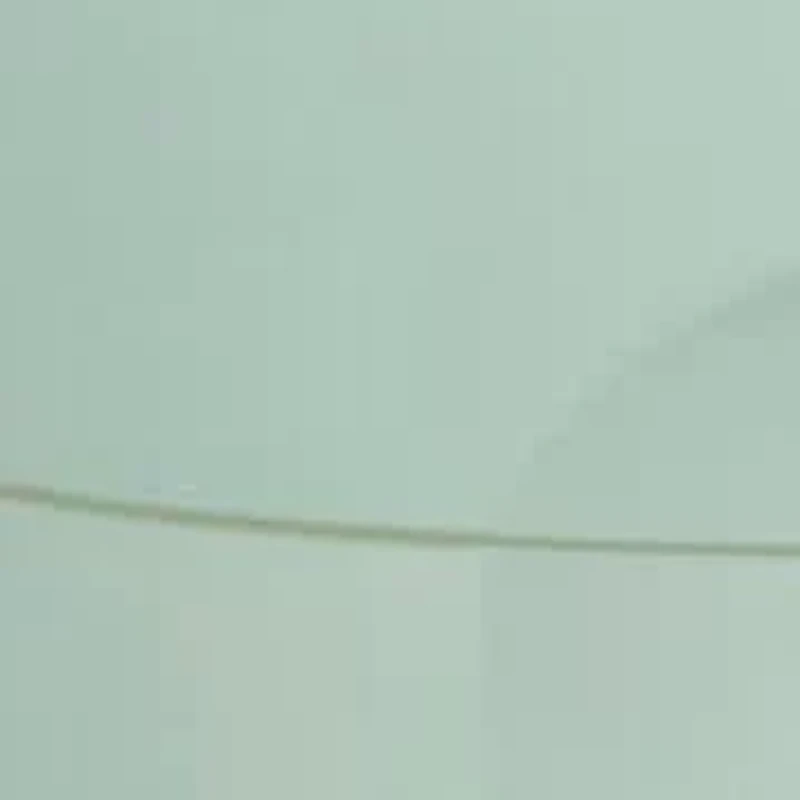 Hydrating Leave-in-Cream With Aloe Vera