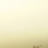 The Contour Book: The Art of Sculpting and Defining