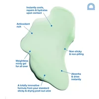 The Lifeguard Cooling Miracle Rescue Aloe Gel