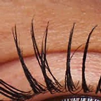 Intensifying Primer