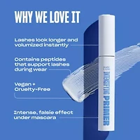 Intensifying Primer