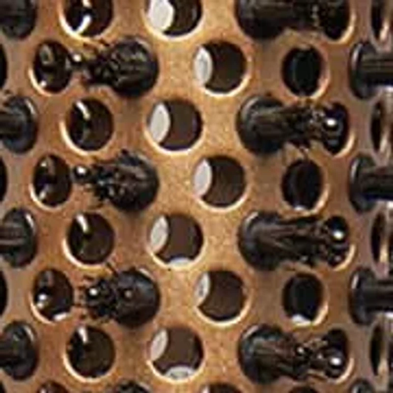 Blow Dry and Shine Brush