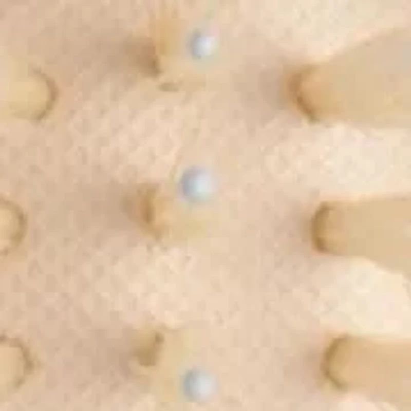 Mini Finish and Shine Brush