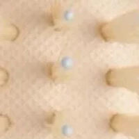 Mini Finish and Shine Brush