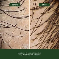 Hair Density Peptide Shampoo