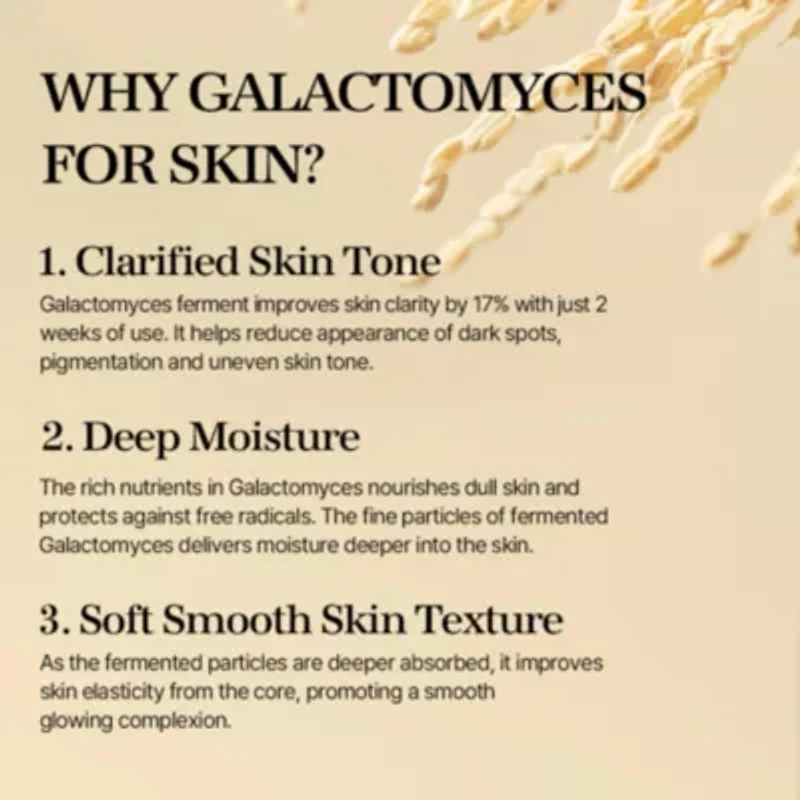 Galactomyces Ferment Essence