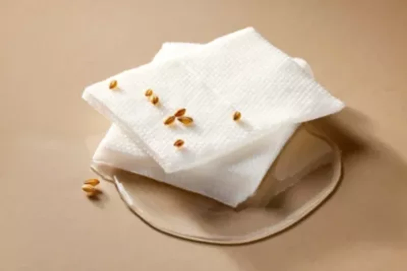 Galactomyces Toner Pad