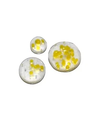 Genius Liquid Collagen Lip