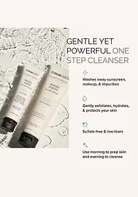 Wash Away Cleanser