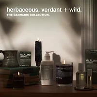 Cannabis Perfume Oil