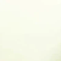 Perfect Repair Shampoo