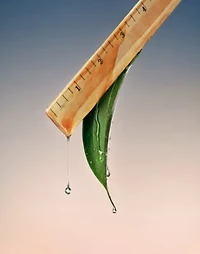 Saisei Biomimetic Peptide Treatment Essence