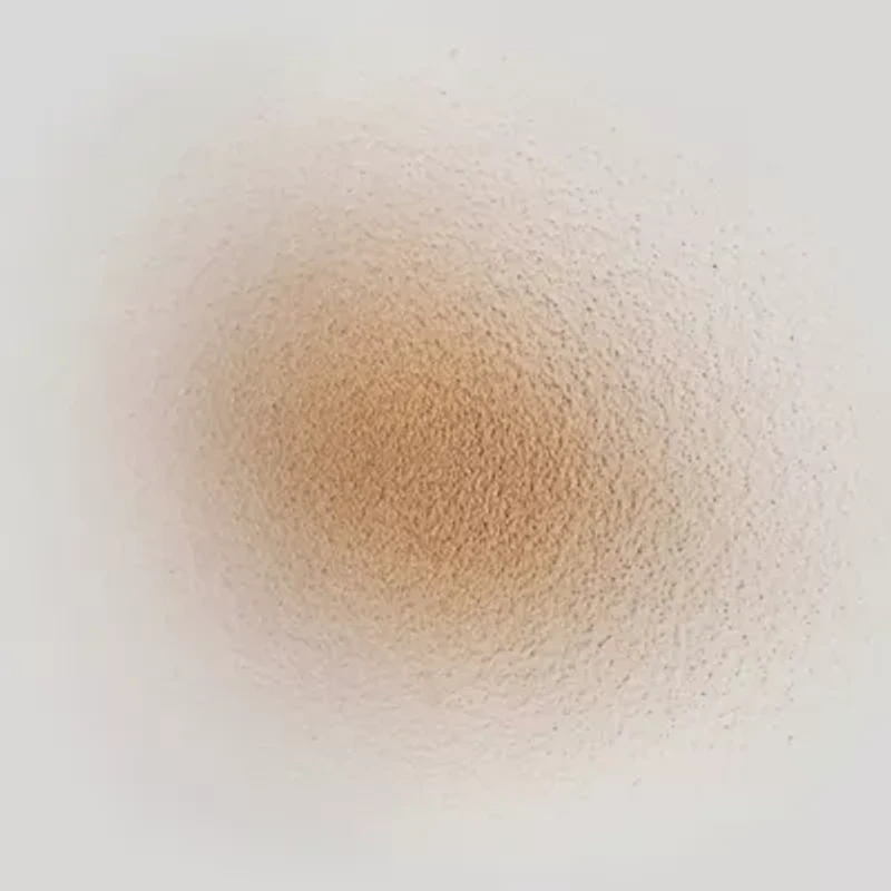 Dark Dry Powder Shampoo