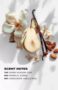 Club Lights Glossing Style Perfector