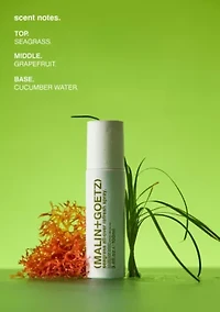 Sea Grass All Over Refresh Spray