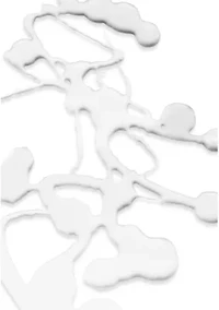 Light Controlling Toner 