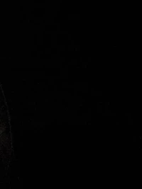 Velvet Bell Sleeve Short Dress