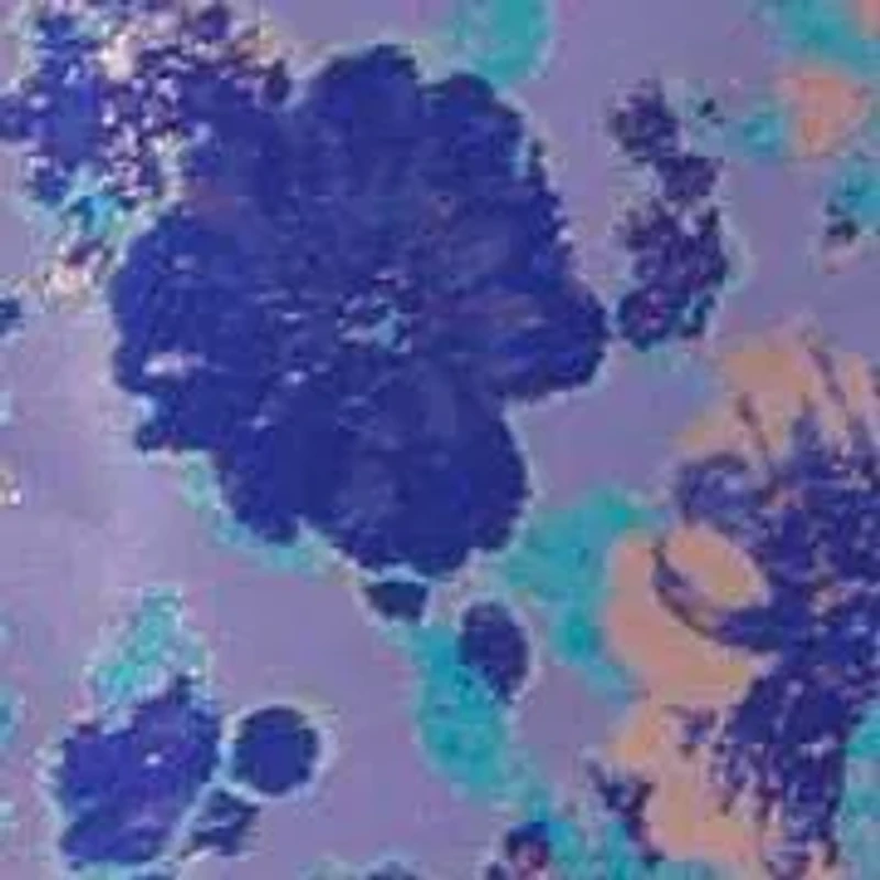 Border Jacquard Dress