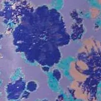 Border Jacquard Dress