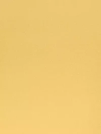 Border Jacquard Dress