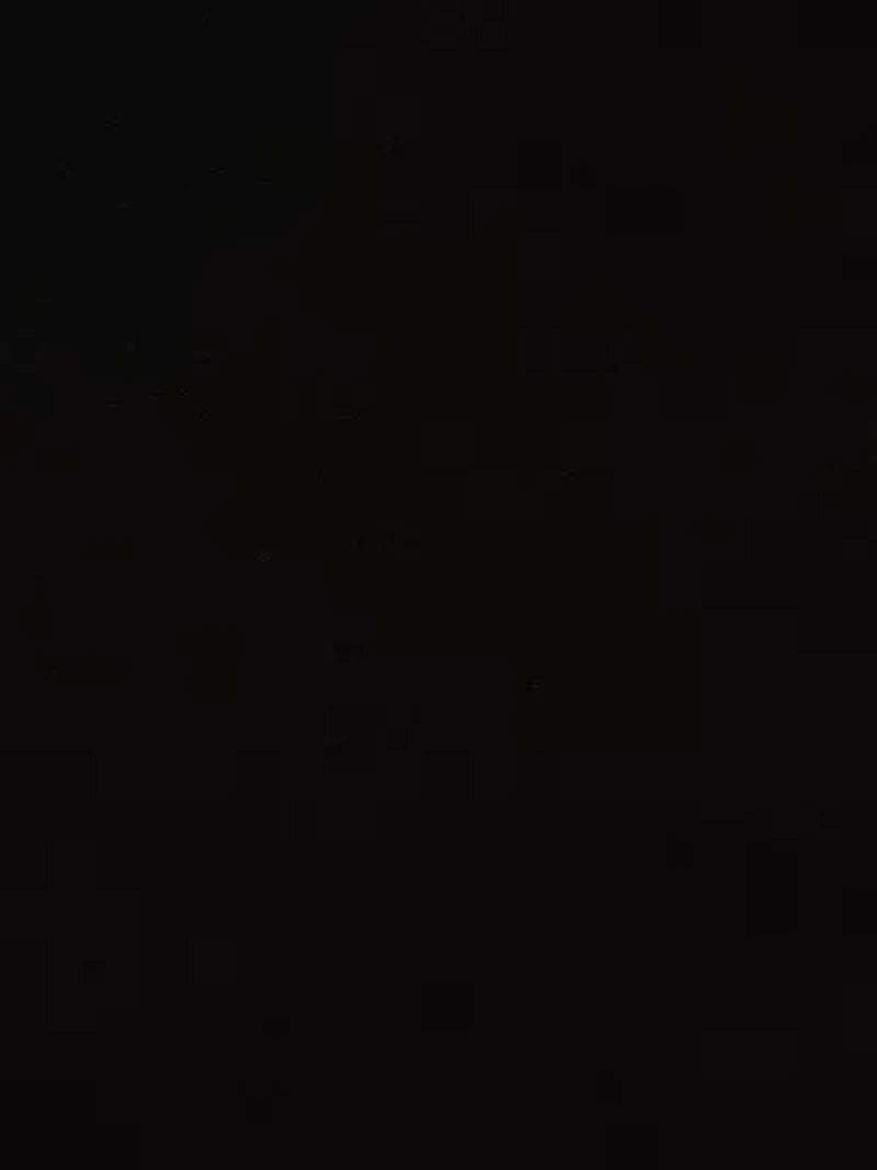 3D Floral Mockneck Short Dress