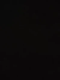 3D Floral Mockneck Short Dress