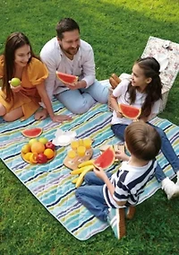 Scout Guys and Dots 60x72 Water Resistant Outdoor Blanket