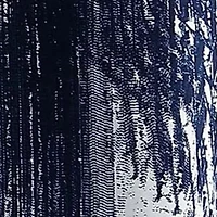 Lyon Shower Curtain