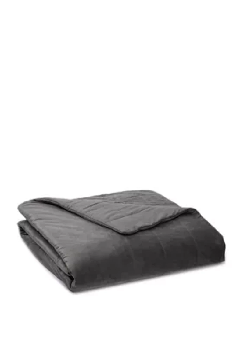 18 Pound Sealy Soft Plush Quilted Weighted Blanket
