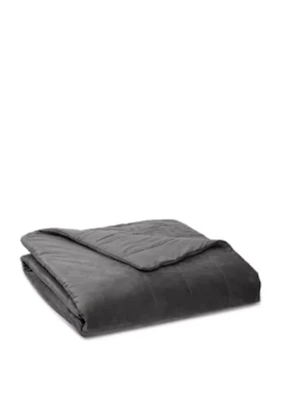 18 Pound Sealy Soft Plush Quilted Weighted Blanket
