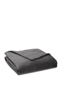 18 Pound Sealy Soft Plush Quilted Weighted Blanket