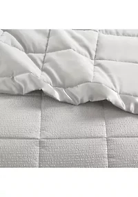 Down Alternative Blanket