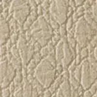 King Charles Euro Sham