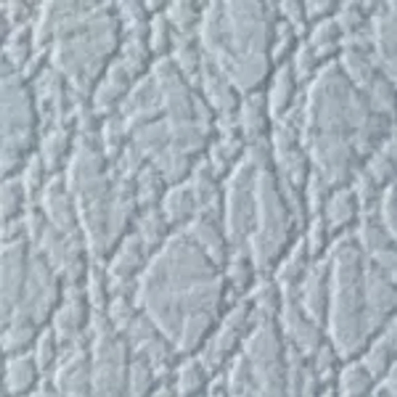 King Charles Euro Sham