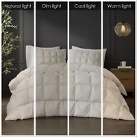 Stay Puffed Overfilled Down Alternative Comforter