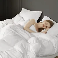 Stay Puffed Overfilled Down Alternative Comforter