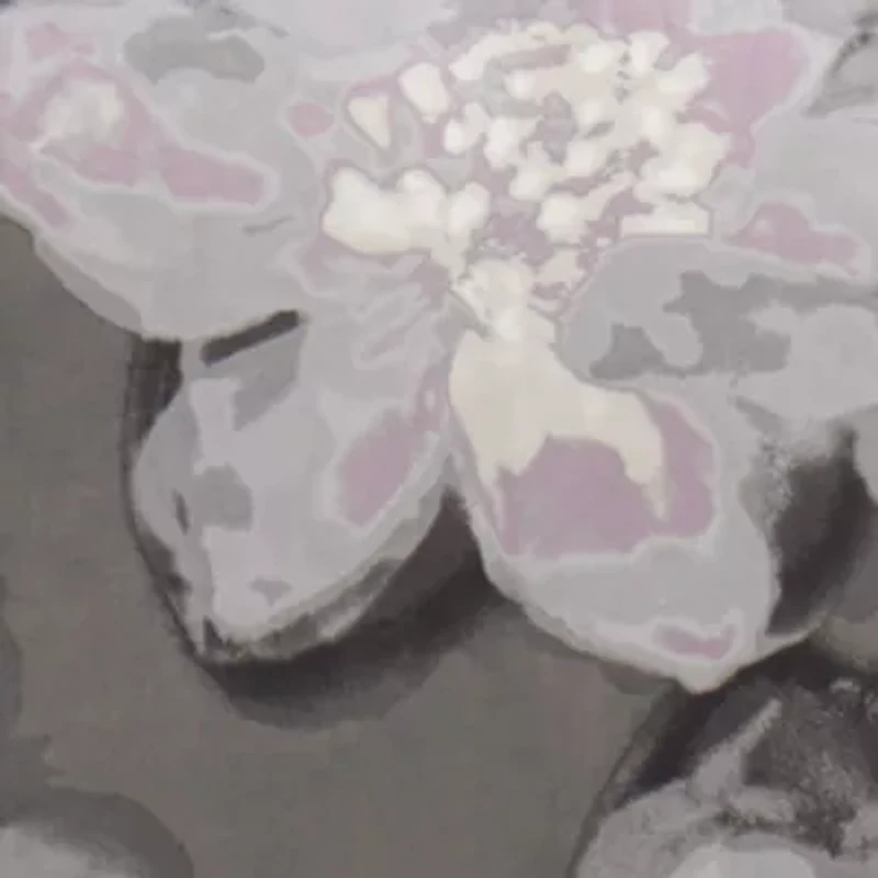 Serena 6 Piece Printed Duvet Cover Set