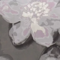 Serena 6 Piece Printed Duvet Cover Set