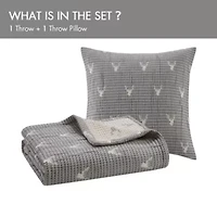 Keystone Throw Pillow Set