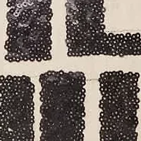 Wild Child Sequined Pillow
