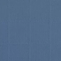 Blue Alden Decorative Pillow