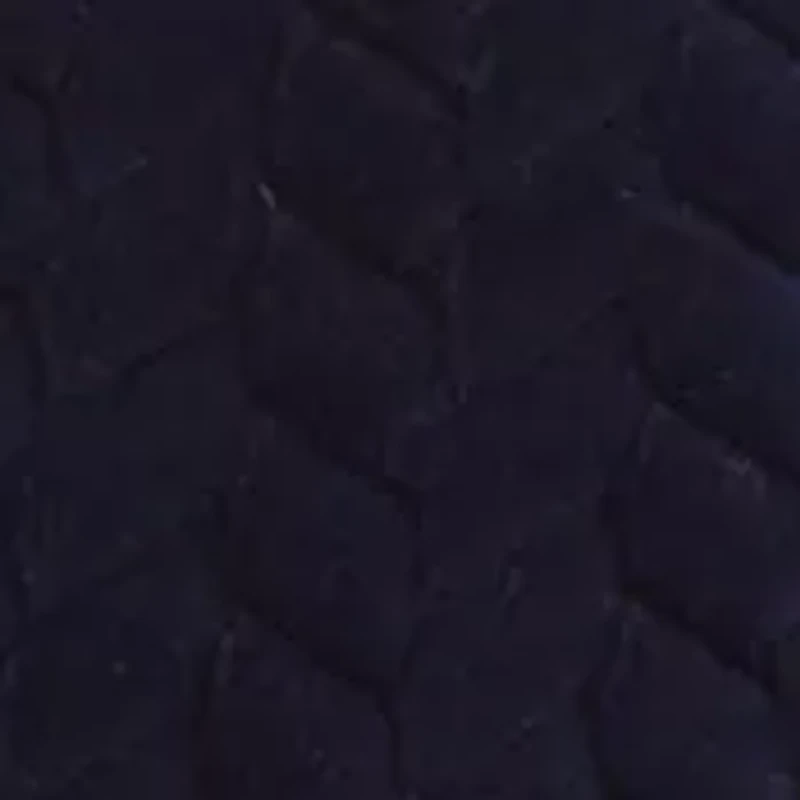 2 Pack of Plush Pillows