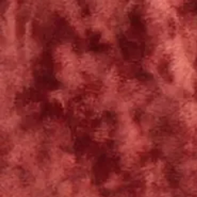 Velvet Spice Euro Sham