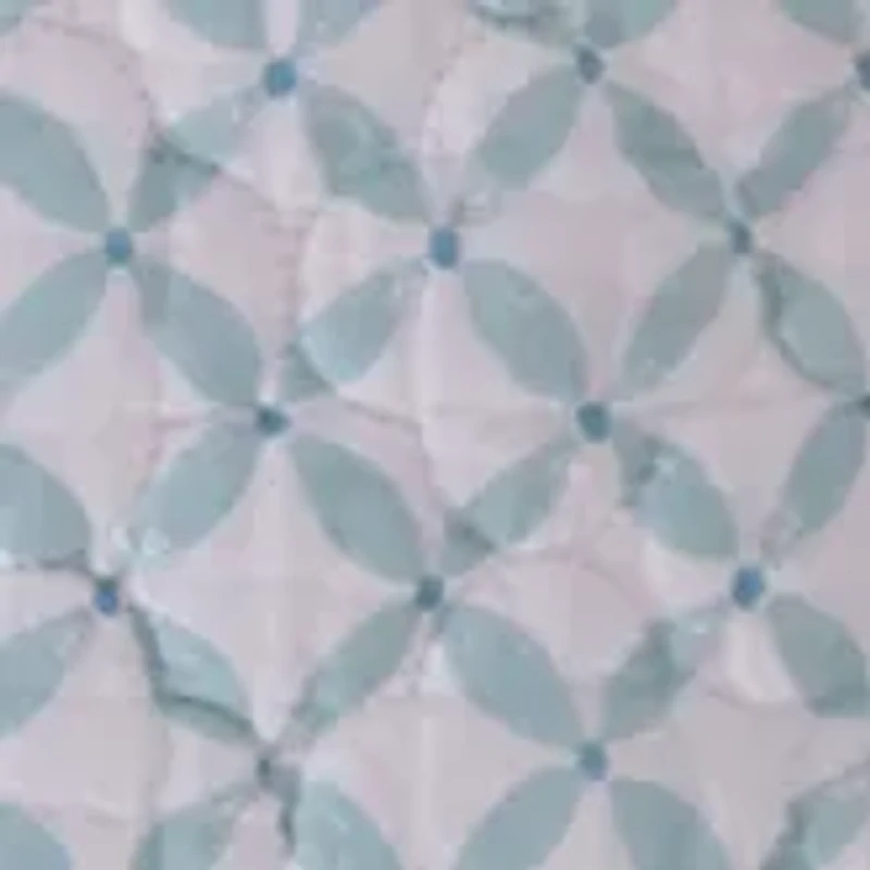 Cortona Paisley Euro Sham 2 Pack 