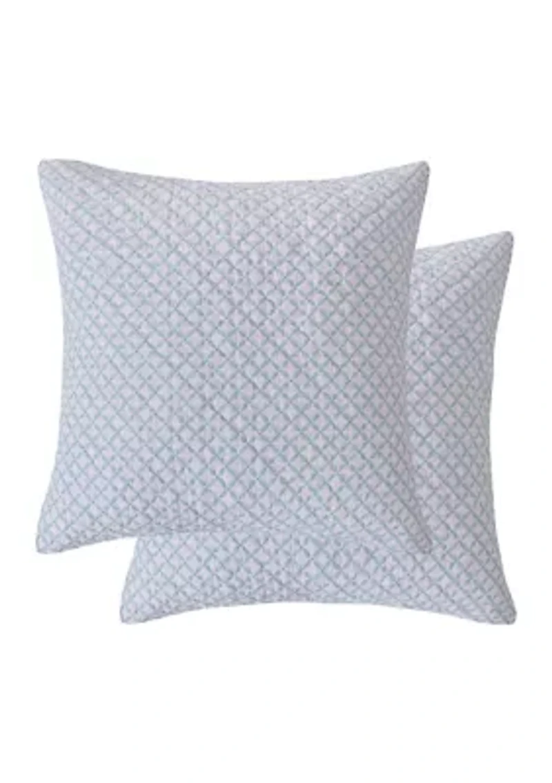 Cortona Paisley Euro Sham 2 Pack 