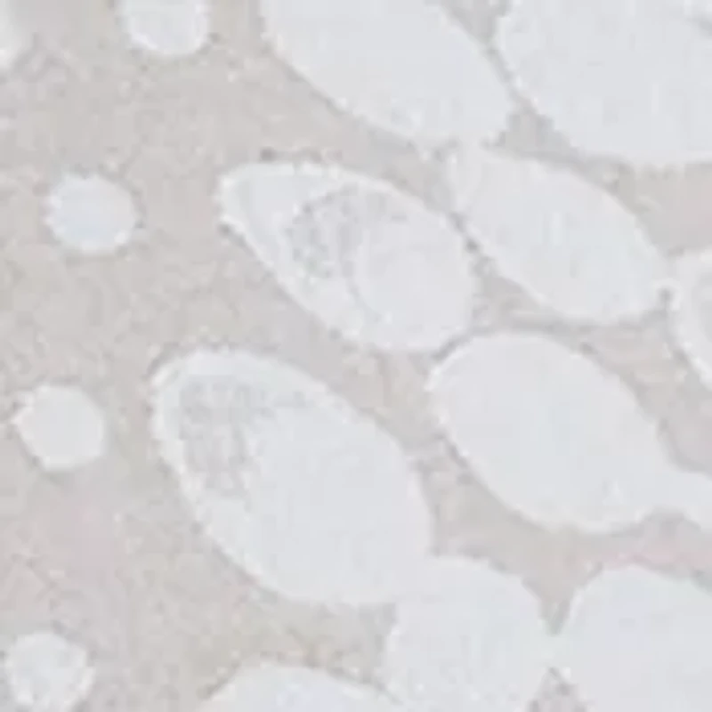 Citronia Standard Sham